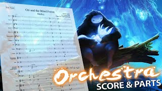 Ori and the Blind Forest: Medley | Orchestral Cover