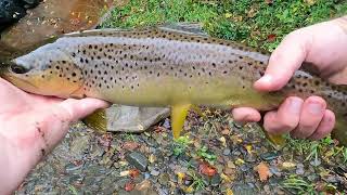 Frustrating day.... until I got fishing good brown