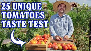 Tasting & Rating The 25 Tomato Varieties Grown In My Garden!