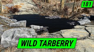 What Makes This Tarberry Ditch Special? | Fallout 4 Unmarked | Ep. 181