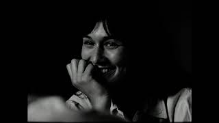 Amor Fou -  20 giorni di vita di una donna famosa