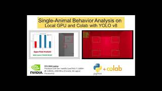 Single Animal Behavior Analysis (Yolov8)