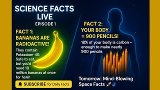 Smart Study Zone is live!
