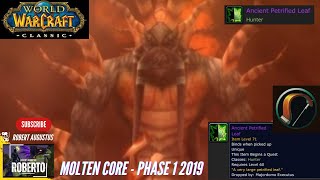 Ancient Petrified Leaf Guide (Phase 1 Molten Core) - Classic WoW Hunter
