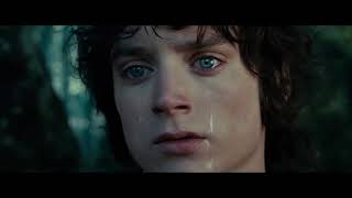 I wish none of this had happened