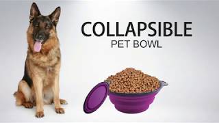 Collapsible Pet Bowl For Your Pets #marshallspetzone