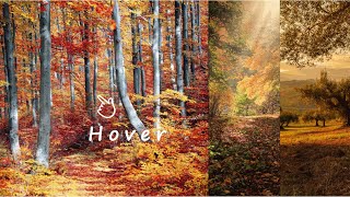 Master the Art of Image Hover Slider Effect : HTML & CSS Tutorial