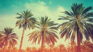 Miami To Atlanta - (Rare Version) DJ Charl3y remix with vocals feat Pitbull