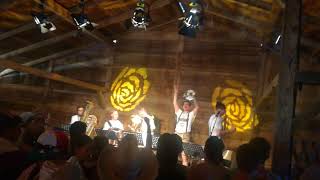 Berghammer Tanzlmusi - Springinkerl