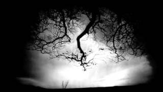 And Also The Trees - Misfortunes