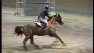 Tivo Nieves - Vicking Copa Presidente 2