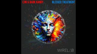 CJW - The Treatment [Wirelab Records]