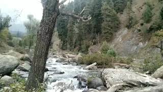 Real beauty of Kashmir