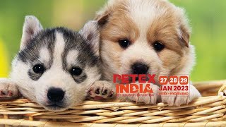 petex india 2023