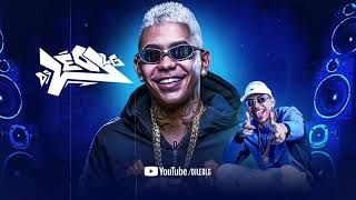 VOU PRO BAILE x SEXO E SUMIÇO - DJs LEO LG, FAISCA ( Mc’s Mr bim, Fabinho da osk, Valeska Popozuda )