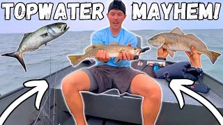 EPIC Fishing For RED DRUM, SPECKLED TROUT, And BLUEFISH! Outer Banks Fishing!