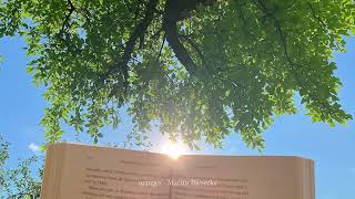 studying with classical music: focus & calm