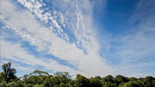 Time Lapse 11/8/17