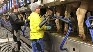 Harvest Queen on Wheels: Discover the Magic of Farming 🚜✨