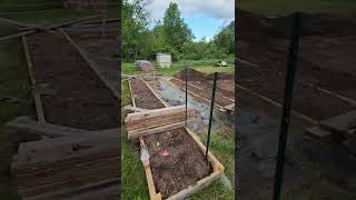 Final Keyhole Bed, First Cattle Panel Arches, and More