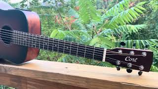 Cort Go - a 3/4 travel guitar that does a lot with its unique pickup! 