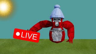 🔴Starking Live🔴