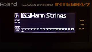 Roland Integra 7 String Sounds Part 4 (No Talking)