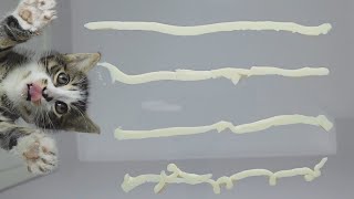 Cute Kitten Licking Creamy Treats ASMR 🐱😍