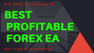 best expert advisor mt4