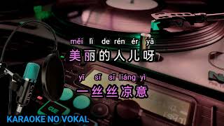 Bing yu 冰 雨 - female - karaoke no vokal   (cover to lyrics pinyin) wu bai song