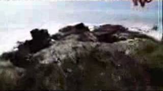 As I Lay Dying: Darkest Nights