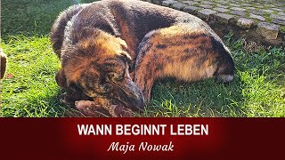 WANN BEGINNT LEBEN? - Eine neue Reihe über das Leben - Teil 1 - von Maja Nowak
