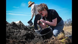 After bulldozers, Bell Bowl Prairie soil gets transplanted in Rockford-area preserve
