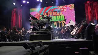 Alfredo "El Pulpo" y sus teclados “SABROSEO” en vivo 