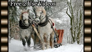 Snow Video Free For Commercial Use, Copyright Free Video,Free 2 Use Videos - Creative Commons #1