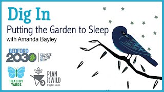 Dig In: Putting the Garden to Bed