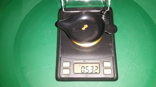 100 Subscriber GAW! Gold Nugget Treasure Hunt and More!
