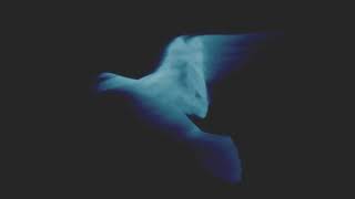 Eli & Fur - Insomnia (Official Visualiser)