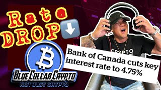 RATE DROP!  How to trade it