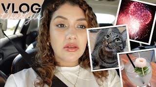 VLOG - Our Cat is Bald :(. Weekly Grocery Haul. 4th of July Fireworks - PitucaThings
