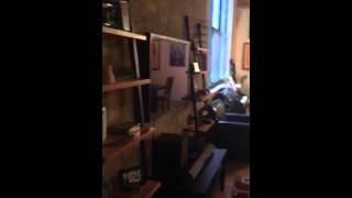 1727 S. Indiana Ave. APT 211 luxury loft in south loop Chicago