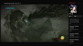 Shadow of the colosos live