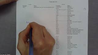 Nomenclature WS II - Stepwise Solutions