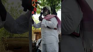 Vangapadu village prayer 🙏❣️🙏