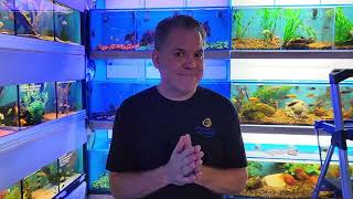Kevin took over the update this week!!! | weekly update