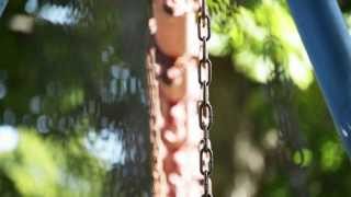 Chain