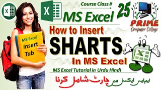 Insert Charts in MS Excel ✅ Urdu Tutorial Class 25