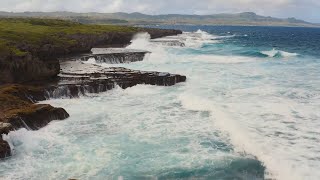 Mariana Avifauna Conservation Program | Pacific Bird Conservation Informative Video