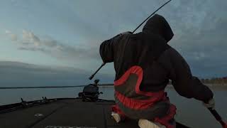 Bussey Brake 10.03lb bass caught live scoping on dead calm day