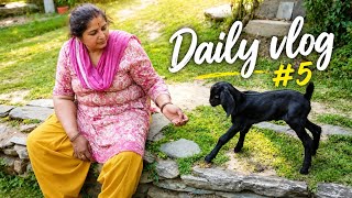 Living My Best Pahadi Life Daily Vlog #5 😍